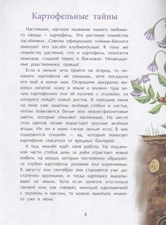 Картошка. Машина времени на грядке 4