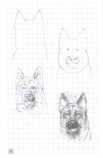 Творческий курс по рисованию. Рисуем животных! 4