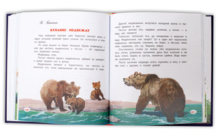 Времена года 4