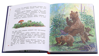 Времена года 9