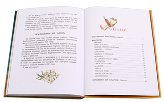 Лягушонок Ливерпуль 6