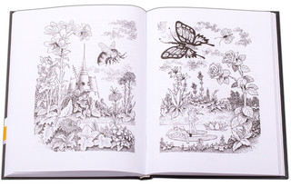 Заблудившийся звездолёт 5