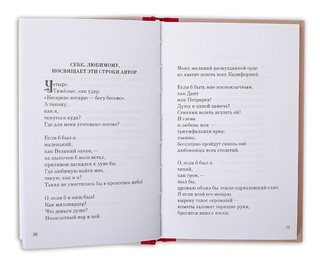 Владимир Маяковский. Избранные стихи и поэмы 3