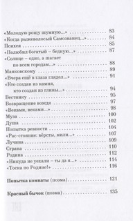 Марина Цветаева 5