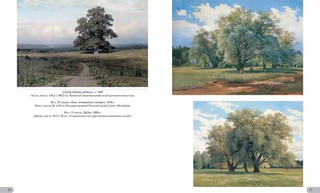 Иван Шишкин. Родные просторы 5