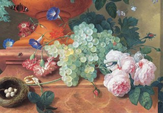 Ян ван Хейсум. Цветы 9