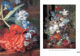 Ян ван Хейсум. Цветы 10