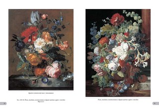 Ян ван Хейсум. Цветы 11