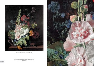 Ян ван Хейсум. Цветы 2