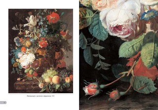 Ян ван Хейсум. Цветы 3