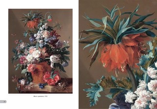 Ян ван Хейсум. Цветы 4