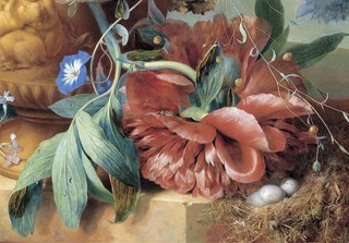 Ян ван Хейсум. Цветы 5