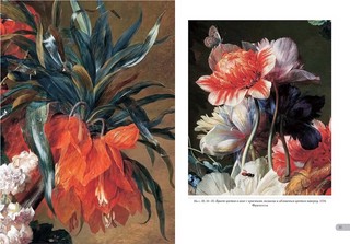 Ян ван Хейсум. Цветы 6