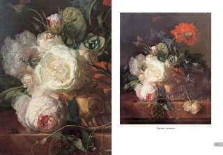 Ян ван Хейсум. Цветы 7