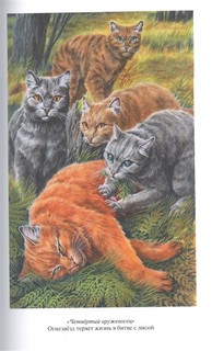 Четвертый оруженосец. Долгое эхо 7