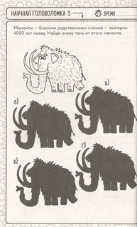 Гениальные головоломки. Игры для умников 4