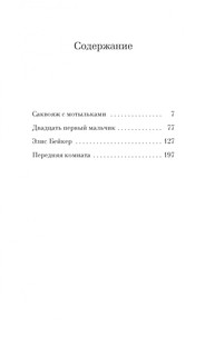 Саквояж с мотыльками. Истории о призраках 2