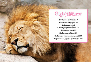 Моя любимая книга о животных 2