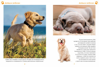 Моя любимая книга о животных 4