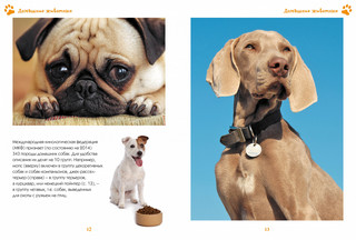 Моя любимая книга о животных 6