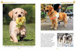 Моя любимая книга о животных 7