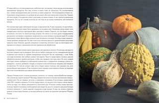 Путешествие в мир веганской кулинарии 7