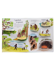 Открой тайны. Эволюция 2