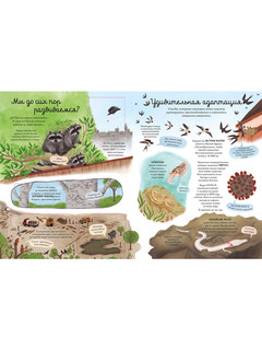 Открой тайны. Эволюция 5