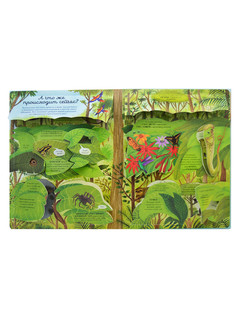 Открой тайны. Эволюция 6