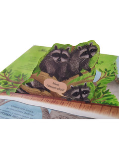 Открой тайны. Эволюция 7