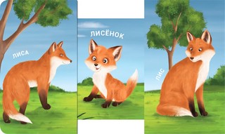 Книжки - задвижки. Мама, папа и малыш. Дикие животные 4