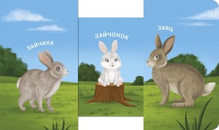 Книжки - задвижки. Мама, папа и малыш. Дикие животные 5