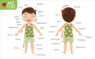 Мои первые развивающие плакаты 2