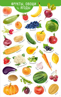 Мои первые развивающие плакаты 4