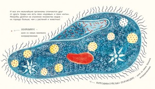 Микро. Тайная жизнь невидимого мира 4