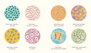Микро. Тайная жизнь невидимого мира 5