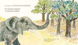 Многообразие жизни на земле 2