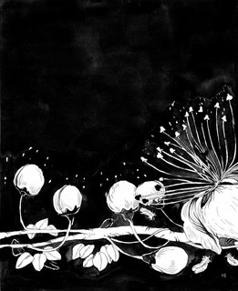 Ночь. Книга о сне и тайнах темноты 7