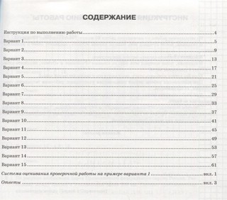 Всероссийская проверочная работа. Математика. 6 класс. Тренажёр. 15 вариантов заданий. Подробные критерии оценивания. Ответы 2