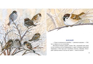 Птицы за окном 5