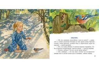 Птицы за окном 8