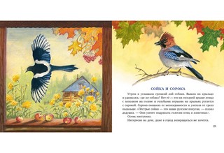 Птицы за окном 10