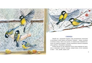 Птицы за окном 2