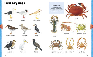 Животные. Визуальная энциклопедия 2