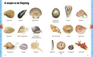 Животные. Визуальная энциклопедия 3