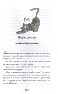 Чудо из волшебного шара 4