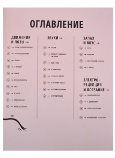 О чем рычит тигр? Как общаются животные в дикой природе 2