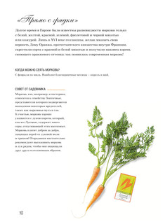 Французская вышивка крестом. Любимый огород Вероник Ажинер 3