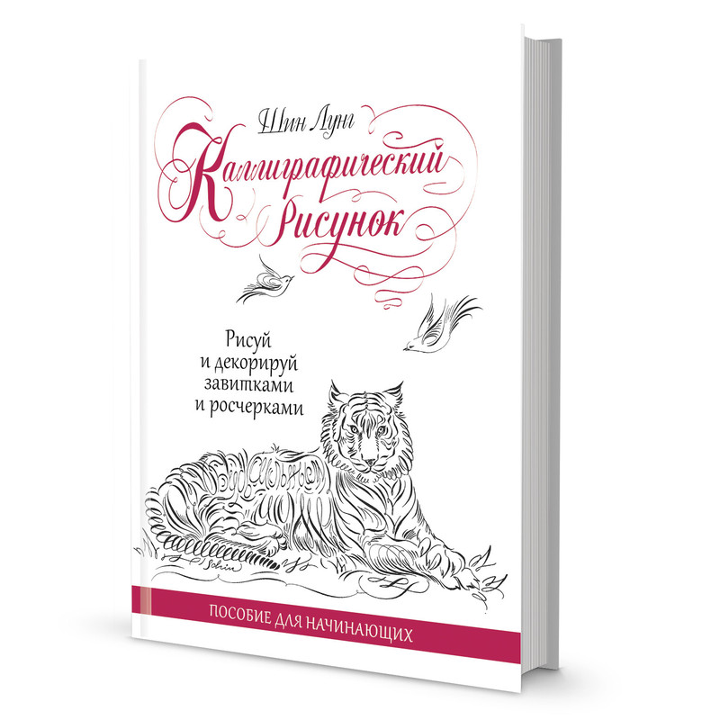 Каллиграфический рисунок. Пособие для начинающих