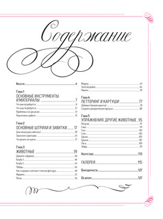 Каллиграфический рисунок. Пособие для начинающих 2